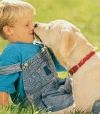 L’enfant et le chien : gestion de la cohabitation